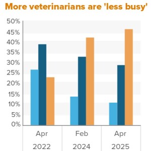 Amid economic turbulence, veterinarians brace for downturn